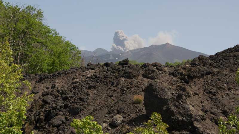 Immagine tour Etna Excursion Nature et saveurs