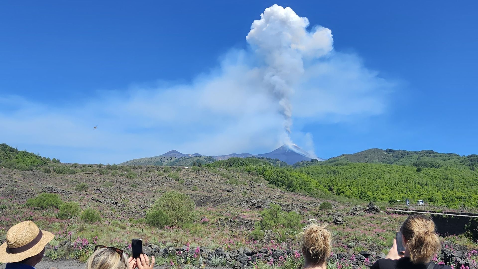 Escursioni Etna natura: passeggiate a piedi con transfer - Foto 1